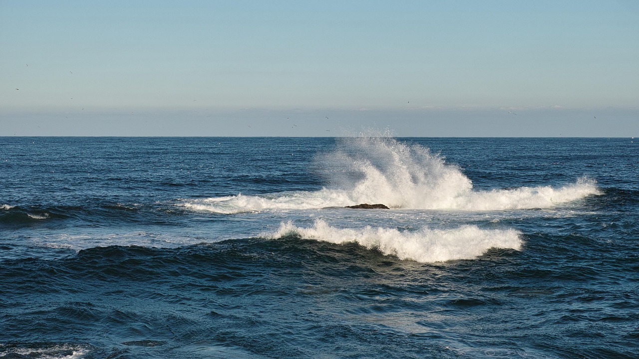 Waves, east sea, breaking waves — Social Media Ideas to Market 55 Club
